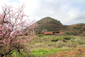 las_Fuentes