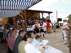 concurso_comarcal_de_vinos_de_guia_de_isora_2012_1