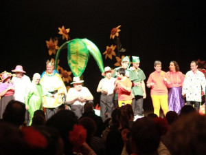 festival_dia_de_las_personas_con_discapacidad_guia_de_isora_2012_1