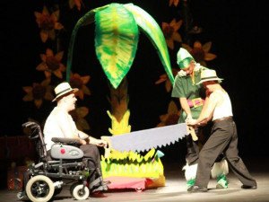festival_dia_de_las_personas_con_discapacidad_guia_de_isora_2012_3