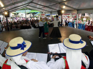 foto_de_archivo_-_dia_de_canarias_en_alcala_5