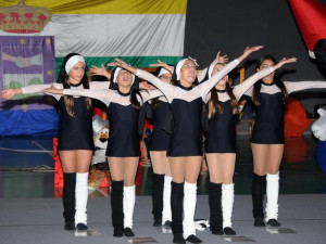 exhibicion_gimnasia_ritimica_en_el_ies_alcala_-_navidad_2011-2_0