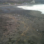 vertido_de_bogas_en_playa_san_juan1