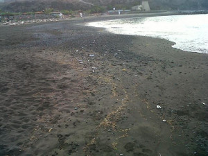 vertido_de_bogas_en_playa_san_juan1
